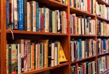 The history of the novel in Turkish literature