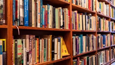 The history of the novel in Turkish literature