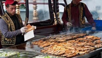 Discover the Turkish Street Food