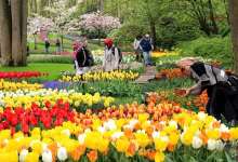 Gülhane Park