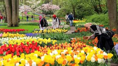Gülhane Park