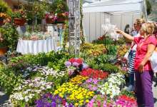 Izmir Flower Festival